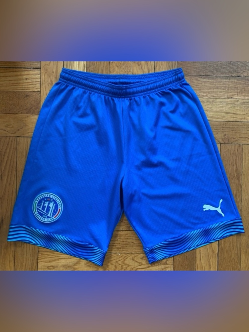 Puma Men’s Bright Blue Athletic Shorts